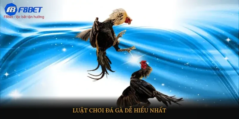Luật chơi đá gà dễ hiểu nhất